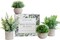 Artificial Plants for Home Decor Indoor. 4 Mini Plants, Rosemary Faux Plant Decor, Eucalyptus Plant, Grass Plants. Small Fake Shelf or Desk Greenery Décor